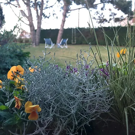 2 Rue De L'église *